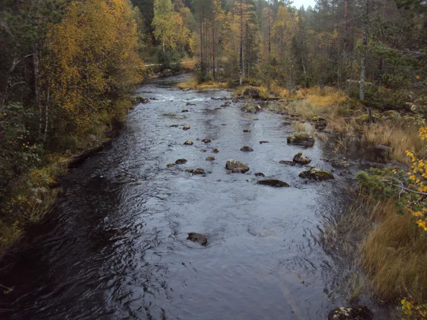 River in Central Sweden