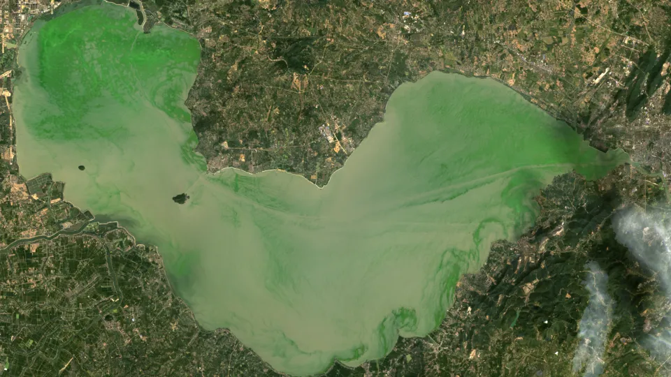 Eutrophication of lake Chahu, Anhui Province, China