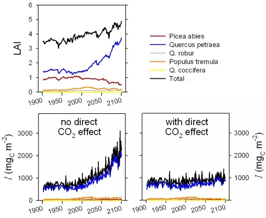 Simulated future leaf area index and forest isoprene emissions charts