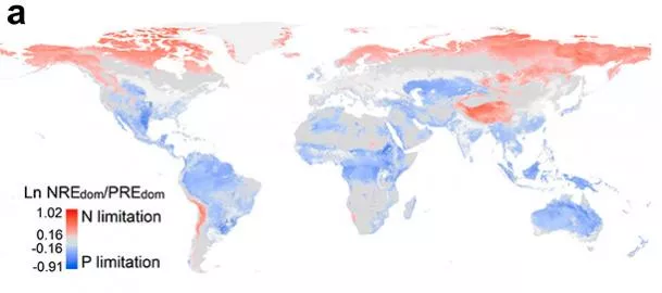 Researchers have created nitrogen and phosphorus maps of the world.