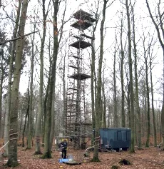  The scaffold tower with four height levels (24, 22, 18 and 12 m) where leaf measurements are done.