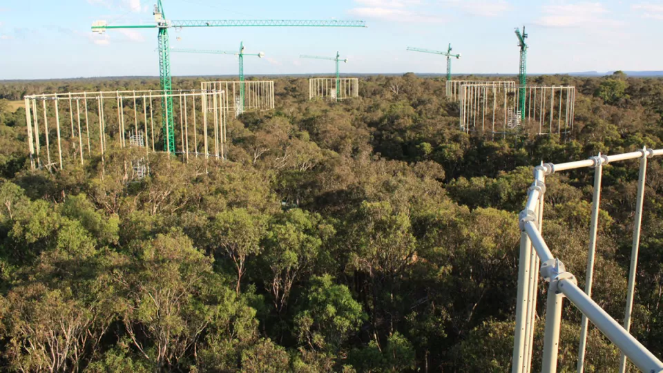 Vy över testplats i skog, Australien.