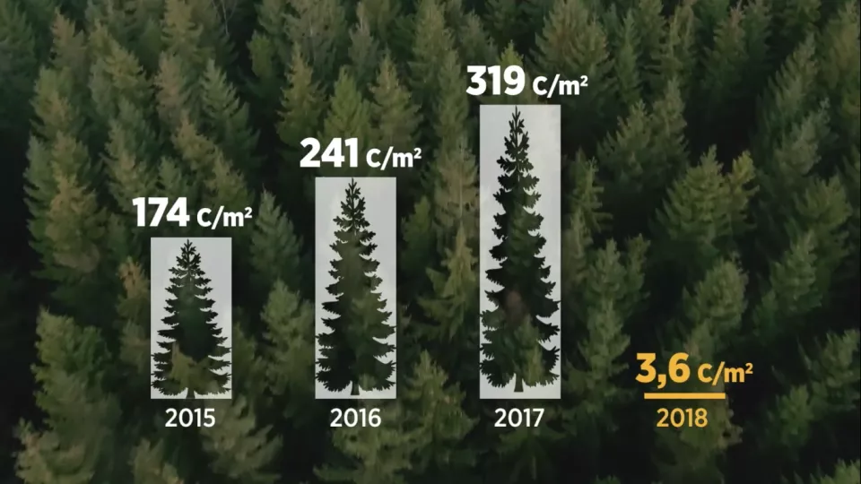 Skogar slutade binda koldioxid efter rekordtorka: statistik
