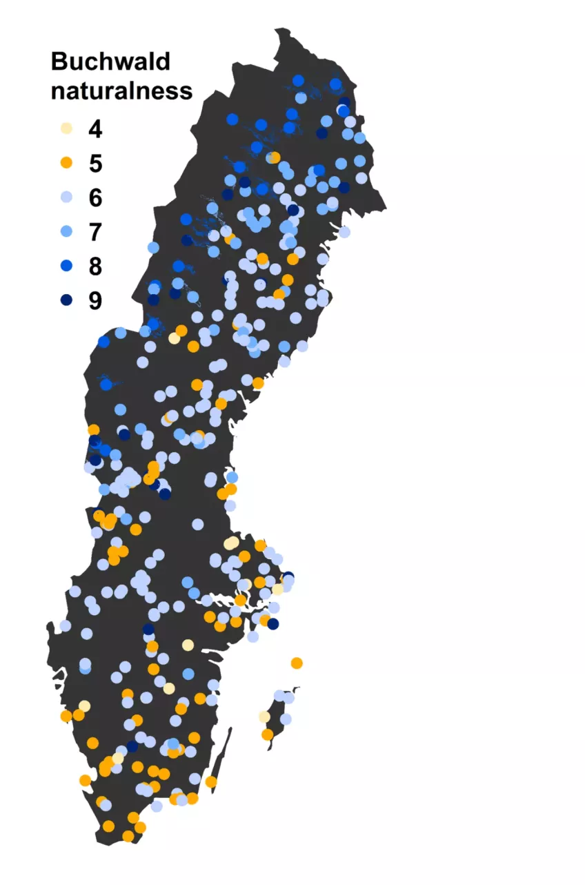 Karta över inventeringen av urskogar i Sverige.